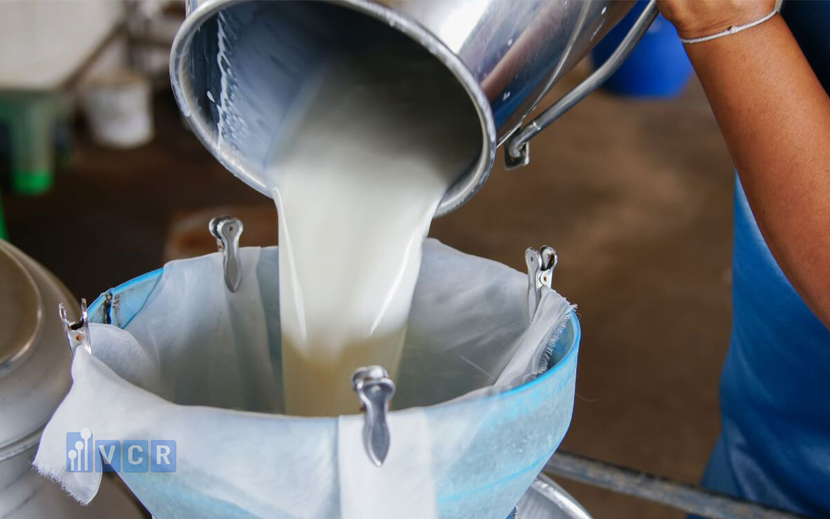 Tổng quan về ngành sản xuất sữa & các chế phẩm từ sữa